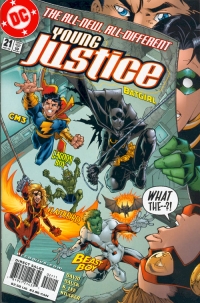  Young Justice #21